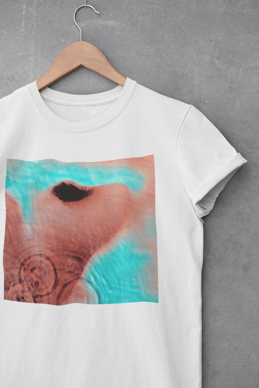 Camiseta "Meddle - Pink Floyd" - Álbum - Música